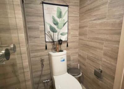 Modern bathroom with toilet and decor