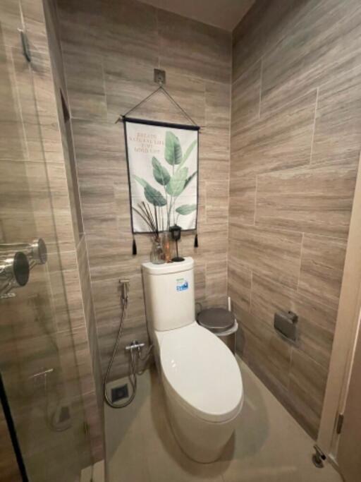 Modern bathroom with toilet and decor