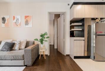 Modern living room with grey sofa, wooden floors, and decorative plants