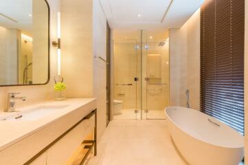 Luxurious bathroom with modern fixtures