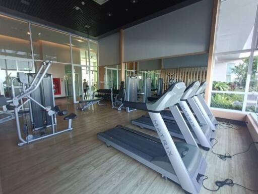 Modern indoor gym with exercise equipment