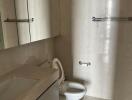 Bathroom with mirror cabinets, sink, and toilet