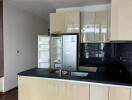 Modern kitchen with sleek cabinetry and stainless steel appliances