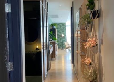 Modern hallway decorated with plants