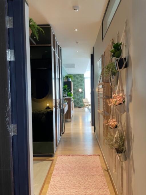 Modern hallway decorated with plants