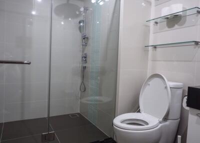 Modern bathroom with shower and toilet