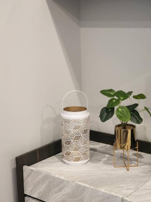 Decorative table with plant and lantern