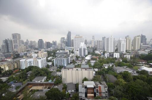 View of a city skyline with tall buildings and greenery