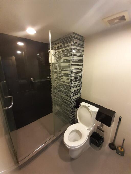 Modern bathroom with shower and toilet