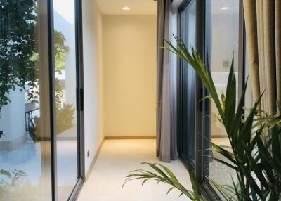 Bright hallway with large windows and plant