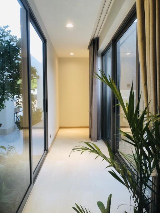 Bright hallway with large windows and plant