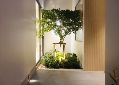 Modern hallway with indoor plants and ambient lighting