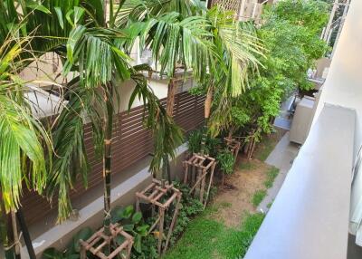 View of the garden with trees and greenery