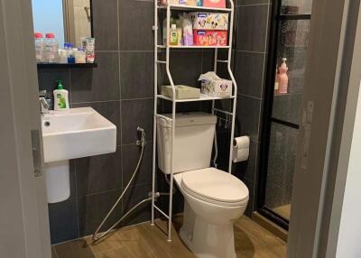 Modern bathroom with organized shelves and shower