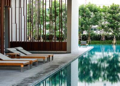 Outdoor pool area with lounge chairs and trees