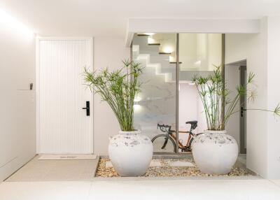 Stylish entryway with plants and staircase