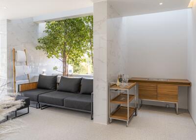 Modern living area with indoor tree and minibar