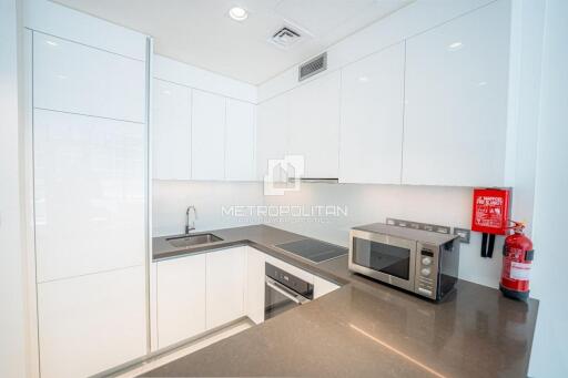 Brand New  Furnished Apt  Spacious 1BR