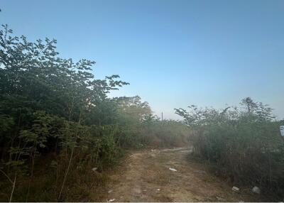 Pristine 42,836 sq.m. (26-3-9(1/10) Rai) Land in Si Sunthon, Phuket