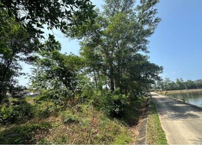 Pristine 42,836 sq.m. (26-3-9(1/10) Rai) Land in Si Sunthon, Phuket