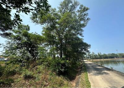 Pristine 42,836 sq.m. (26-3-9(1/10) Rai) Land in Si Sunthon, Phuket