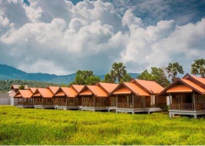 Huge 15 Rai Resort 56 Bungalows in Mae Nam 250M