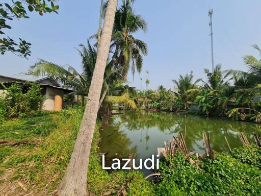 1 Rai 5 Sq.Wa. Land for Sale Huay Yai.