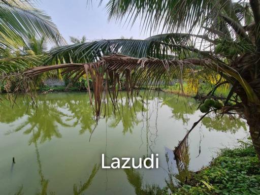 1 Rai 5 Sq.Wa. Land for Sale Huay Yai.