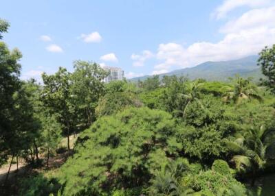 Spacious 2 bed apartment at Mountain Front Condominium