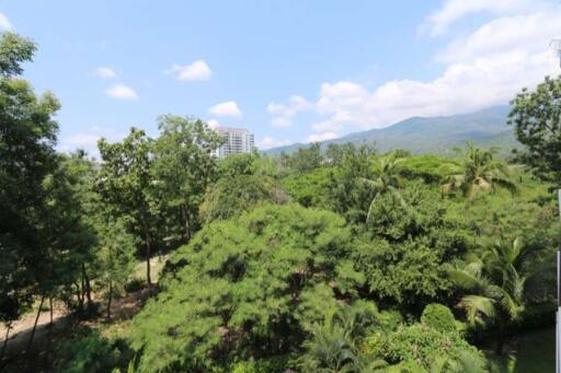 Spacious 2 bed apartment at Mountain Front Condominium