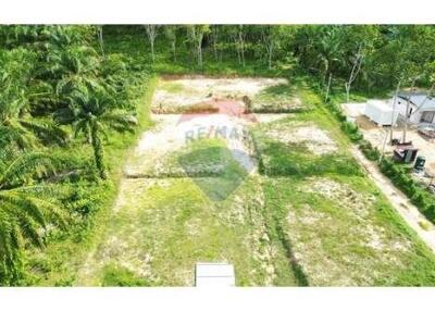 356 Sqm. Land listed for ฿ 1,069,200.