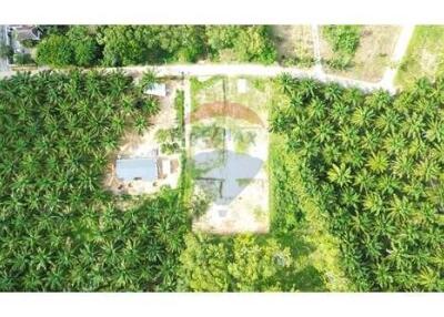 356 Sqm. Land listed for ฿ 1,069,200.