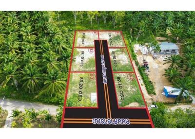 Land for sale in Ao nang