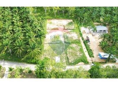 Land for sale in Ao nang