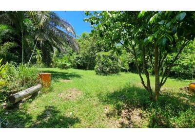 LAND FOR SALE & HOUSE