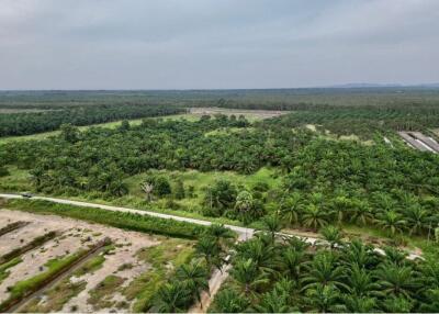 59,672 Sqm. Land listed for ฿ 220,000.