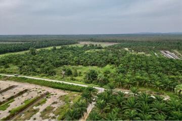 59,672 Sqm. Land listed for ฿ 220,000.