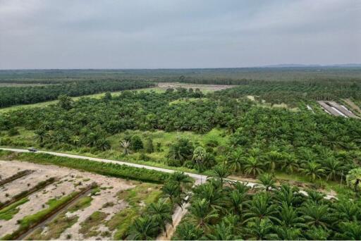 59,672 Sqm. Land listed for ฿ 220,000.