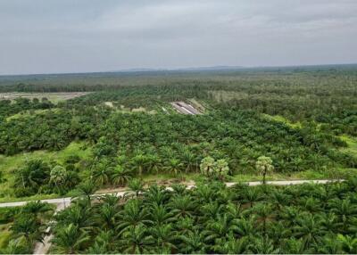 59,672 Sqm. Land listed for ฿ 220,000.