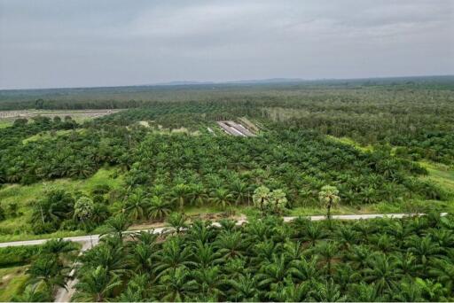 59,672 Sqm. Land listed for ฿ 220,000.