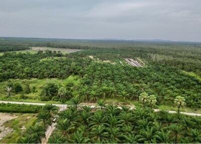 59,672 Sqm. Land listed for ฿ 220,000.