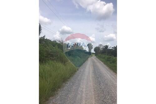 59,672 Sqm. Land listed for ฿ 220,000.