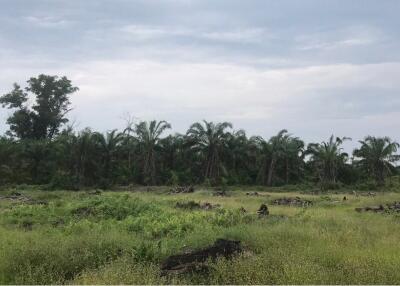 59,672 Sqm. Land listed for ฿ 220,000.