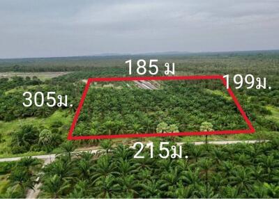 59,672 Sqm. Land listed for ฿ 220,000.