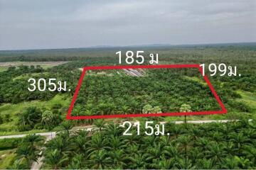 59,672 Sqm. Land listed for ฿ 220,000.