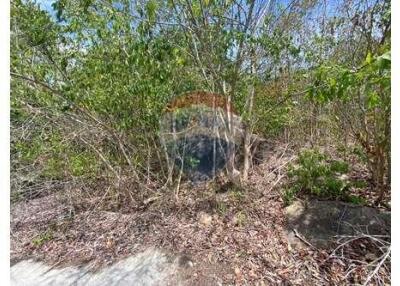 Sea View Land for Sale in Prime Bophut, Koh Samui.