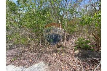 Sea View Land for Sale in Prime Bophut, Koh Samui.