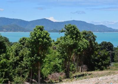 Prime Plot: Sea View Land in Plai Laem!