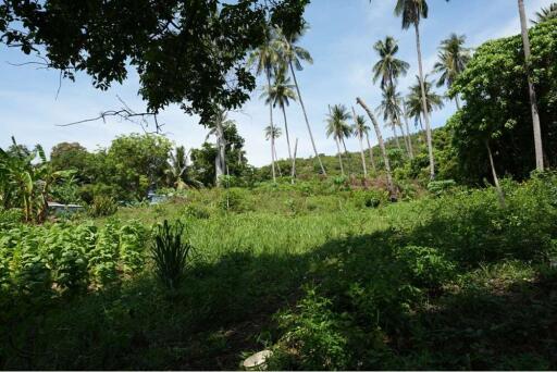 The land for sale near Bangkok Hospital 4 Rai 25 Sq.w.