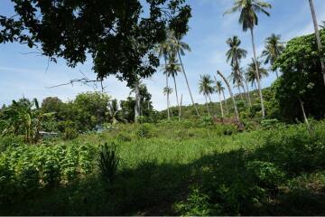 The land for sale near Bangkok Hospital 4 Rai 25 Sq.w.